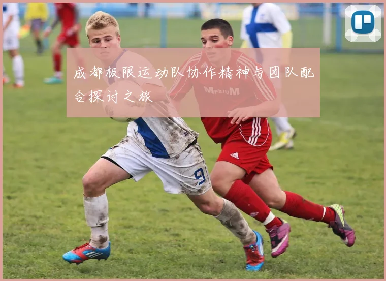 成都极限运动队协作精神与团队配合探讨之旅