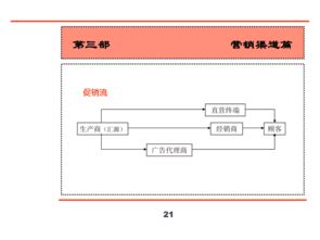 汇源集团新产品营销策划全案
