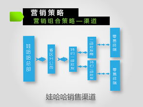娃哈哈 激活 2013 2016年度市场营销策划方案